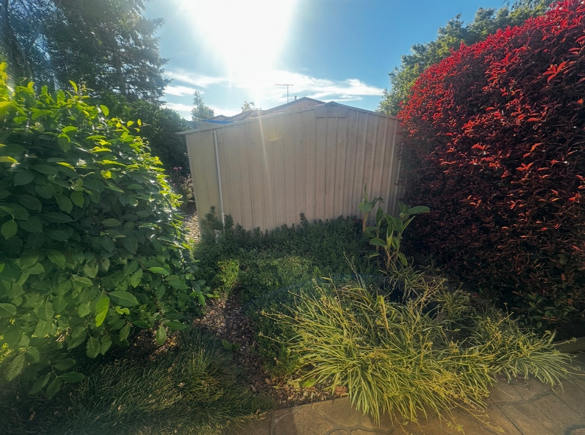 Small Scale Landscape