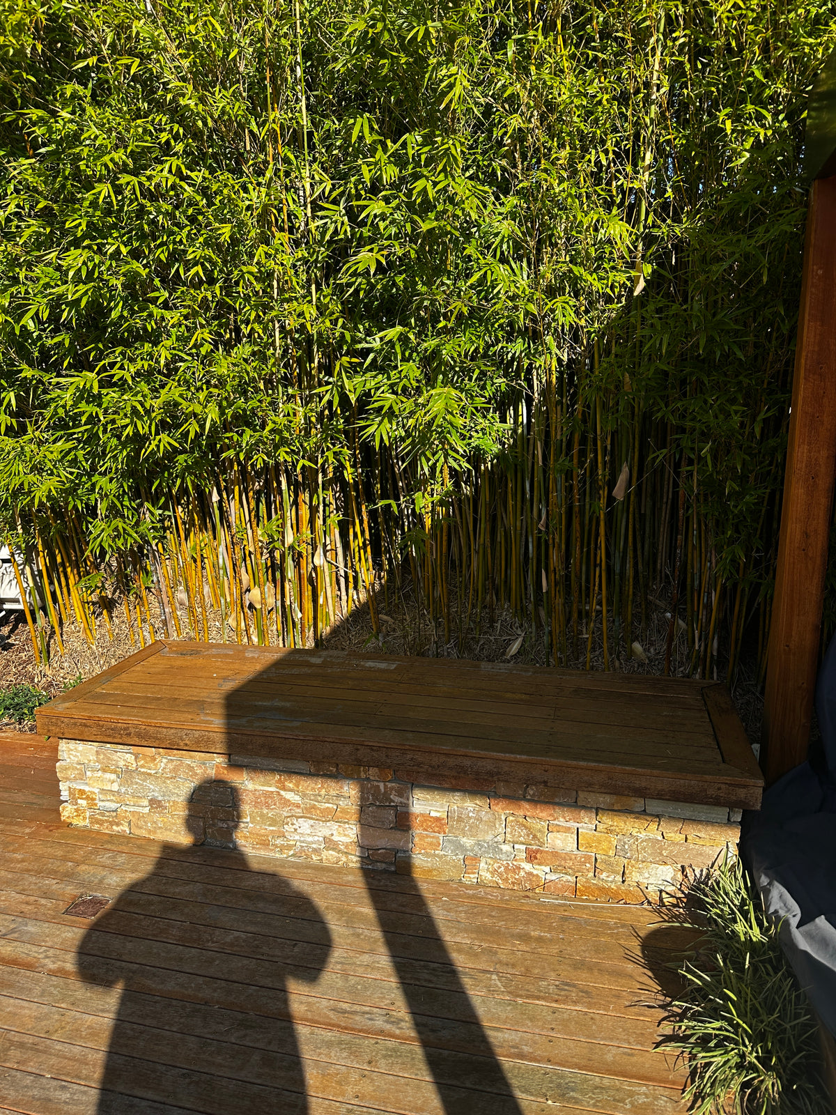 Full Outdoor Decking/Pergola & Landscape